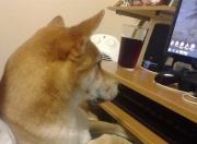 雷火电竞合作-当NBA节奏席卷天山，爱德华兹50+准三双演绎现代篮球掌控力