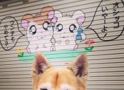 雷火电竞网站-黄潜远征记，罗德里一箭穿心，比利亚雷亚尔从美国带走胜利