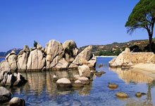 雷火电竞中国-西雅图海湾者队长激励全队，挑战强敌士气高昂