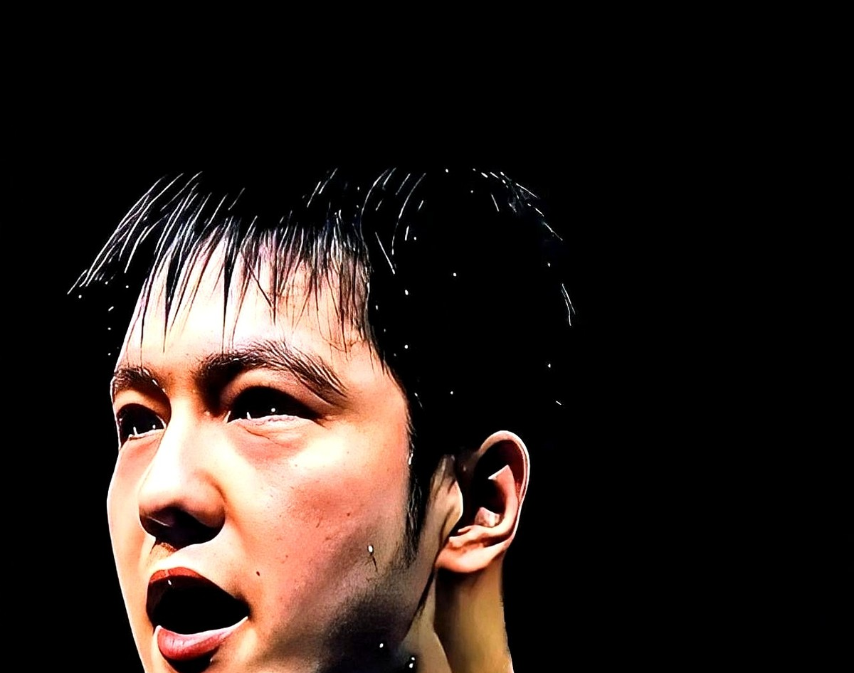 波兰队横扫葡萄牙队,樊振东关键制胜 波兰队横扫葡萄牙队,樊振东关键制胜