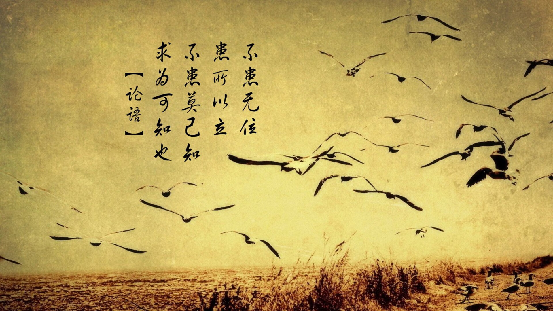 寂静、黑暗、割裂，贝恩用一场三分暴雨，浇熄了丹佛高原的火焰