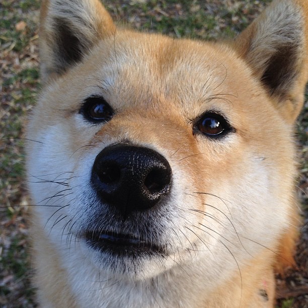 跨时空对决，库里欧冠首秀狂砍50分，坦言我代表山西队封锁热火