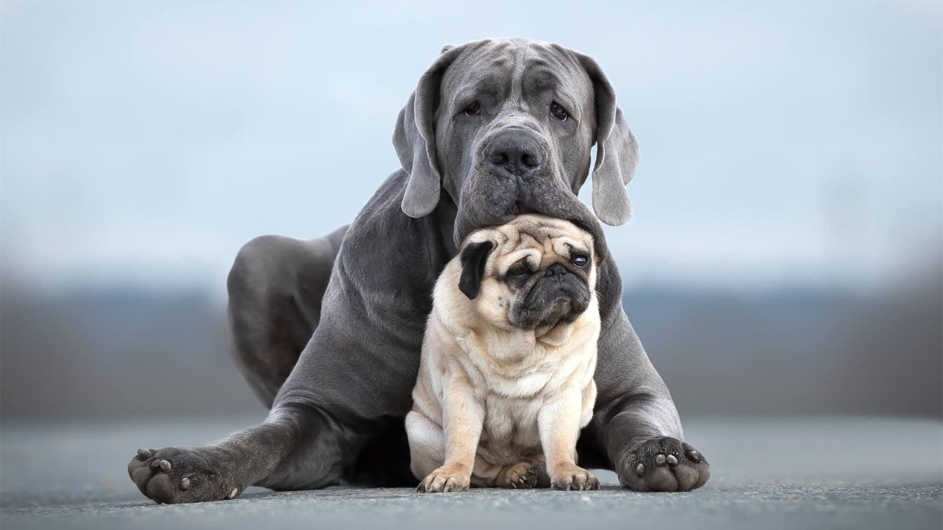 个人英雄与团队利刃，约基奇神迹与独行侠的晋级之道