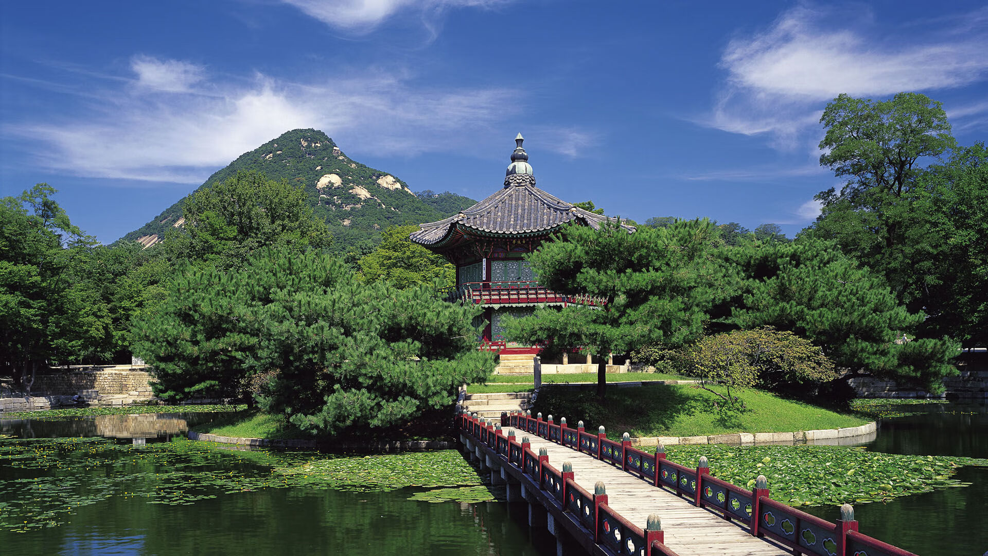 极速与新章，当F1巴林引擎轰鸣，深圳队已掀翻步行者